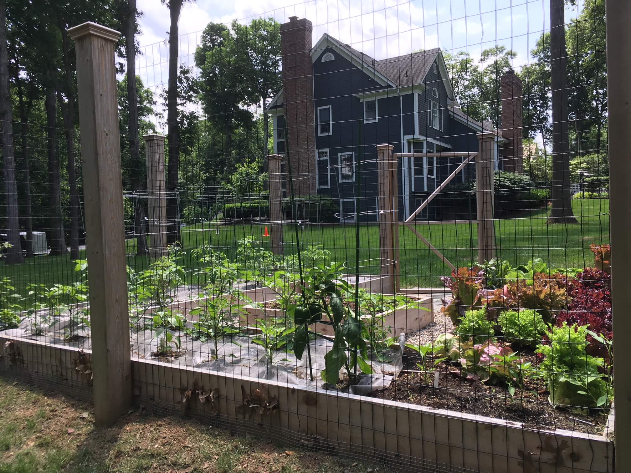 Vegetable Garden | Cutting Garden | Enclosures | Landscaping Blog