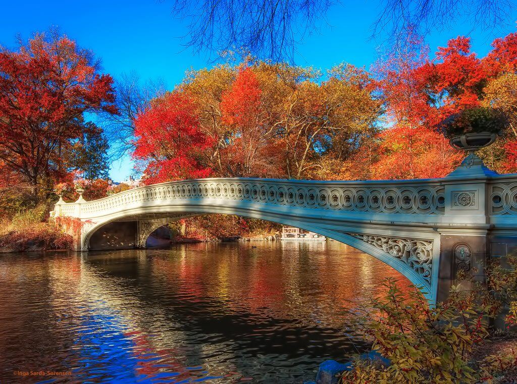 Bow Bridge in Autumn Central Park Bridges Cross River Design
