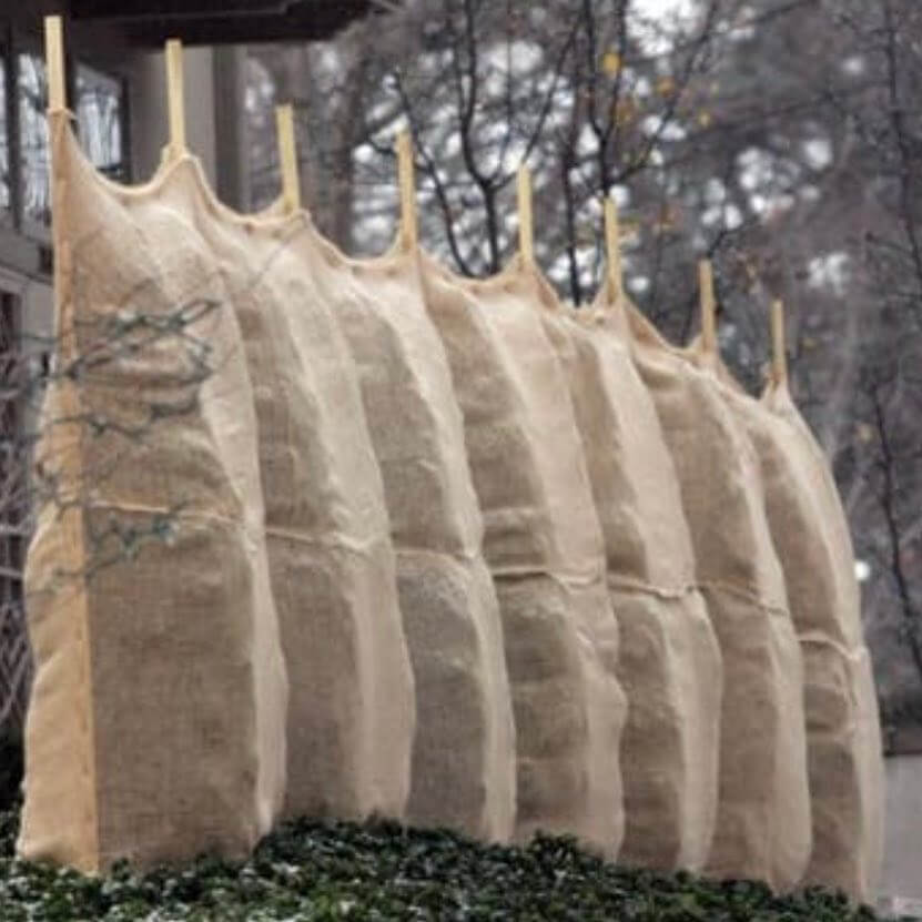 Should You Wrap Your Shrubs in Burlap Landscaping Blog